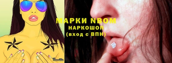 молекула духа Алексин
