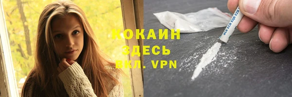 молекула духа Алексин