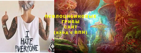 бошки Алексеевка