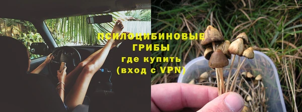 стафф Абинск