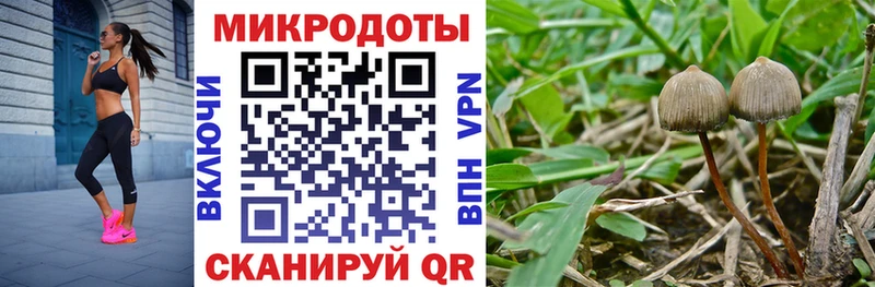 мега вход  Омск  Галлюциногенные грибы мухоморы 