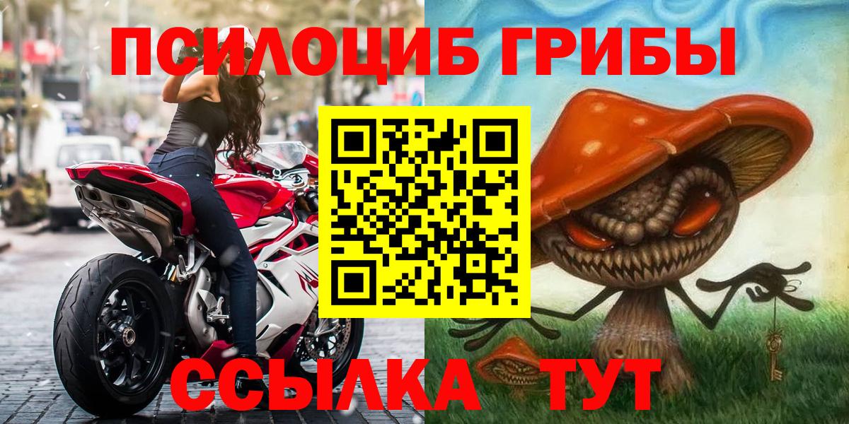 Галлюциногенные грибы Psilocybine cubensis  Псилоцибиновые грибы GOLDEN TEACHER  Вход с VPN  что такое   Омск 